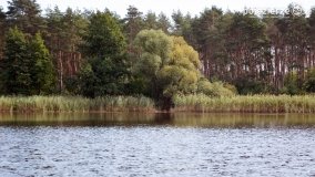 Rejs po jeziorze Kłeckim - zdjęcie 9