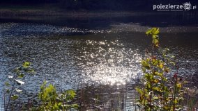 Poszukiwanie jesieni w parku w Czerniejewie - zdjęcie 39