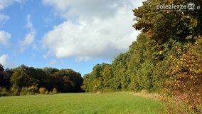 Poszukiwanie jesieni w parku w Czerniejewie - zdjęcie 38