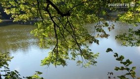 Poszukiwanie jesieni w parku w Czerniejewie - zdjęcie 35