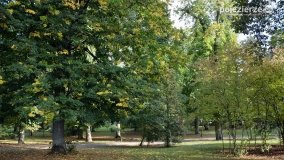 Poszukiwanie jesieni w parku w Czerniejewie - zdjęcie 33