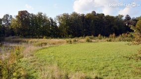 Poszukiwanie jesieni w parku w Czerniejewie - zdjęcie 32