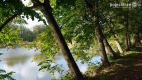 Poszukiwanie jesieni w parku w Czerniejewie - zdjęcie 31