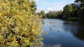 Poszukiwanie jesieni w parku w Czerniejewie - zdjęcie 30