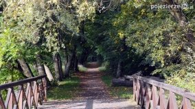 Poszukiwanie jesieni w parku w Czerniejewie - zdjęcie 28