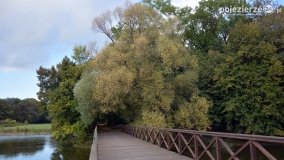 Poszukiwanie jesieni w parku w Czerniejewie - zdjęcie 27
