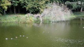 Poszukiwanie jesieni w parku w Czerniejewie - zdjęcie 26