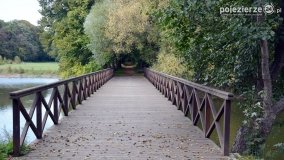 Poszukiwanie jesieni w parku w Czerniejewie - zdjęcie 25