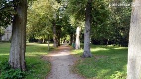 Poszukiwanie jesieni w parku w Czerniejewie - zdjęcie 21