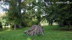 Poszukiwanie jesieni w parku w Czerniejewie - zdjęcie 19