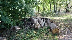 Poszukiwanie jesieni w parku w Czerniejewie - zdjęcie 17