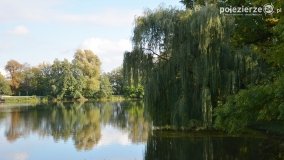 Poszukiwanie jesieni w parku w Czerniejewie - zdjęcie 14