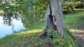 Poszukiwanie jesieni w parku w Czerniejewie - zdjęcie 12