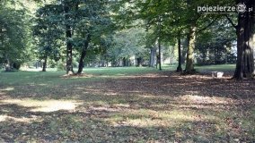 Poszukiwanie jesieni w parku w Czerniejewie - zdjęcie 11