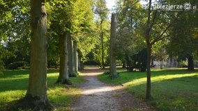 Poszukiwanie jesieni w parku w Czerniejewie - zdjęcie 10