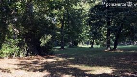 Poszukiwanie jesieni w parku w Czerniejewie - zdjęcie 5