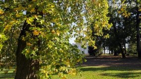 Park w Lubostroniu w jesiennej szacie - zdjęcie 17