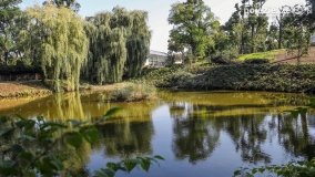 Park w Lubostroniu w jesiennej szacie - zdjęcie 12