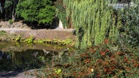 Park w Lubostroniu w jesiennej szacie - zdjęcie 4