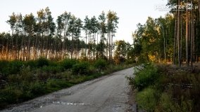 Spacer po ścieżkach Leśnictwa Brody - zdjęcie 17