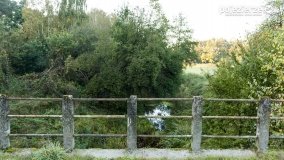 Spacer po ścieżkach Leśnictwa Brody - zdjęcie 10