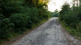 Spacer po ścieżkach Leśnictwa Brody - zdjęcie 7