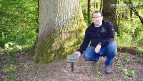 Tajemnicze uroczysko, dąb „Paweł” i „czady biesów” - zdjęcie 26