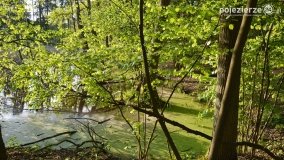 Tajemnicze uroczysko, dąb „Paweł” i „czady biesów” - zdjęcie 17