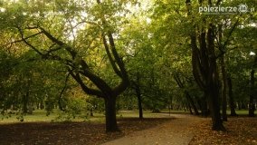 Park Solankowy w Inowrocławiu - zdjęcie 47