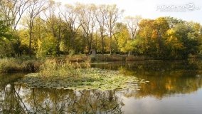 Park Solankowy w Inowrocławiu - zdjęcie 40