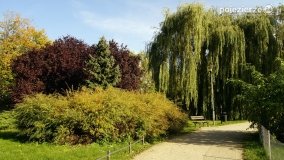 Park Solankowy w Inowrocławiu - zdjęcie 38