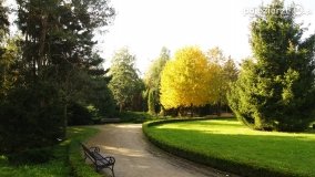 Park Solankowy w Inowrocławiu - zdjęcie 36