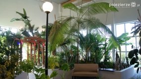 Park Solankowy w Inowrocławiu - zdjęcie 35