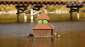 Park Solankowy w Inowrocławiu - zdjęcie 27