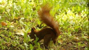 Park Solankowy w Inowrocławiu - zdjęcie 24