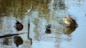 Park Solankowy w Inowrocławiu - zdjęcie 14