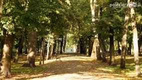 Park Solankowy w Inowrocławiu - zdjęcie 13