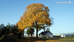 Złota, polska jesień... - zdjęcie 30