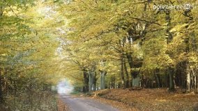 Złota, polska jesień... - zdjęcie 28