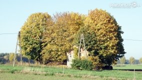 Złota, polska jesień... - zdjęcie 22