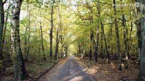 Złota, polska jesień... - zdjęcie 20