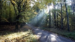 Złota, polska jesień... - zdjęcie 19