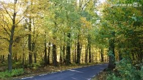 Złota, polska jesień... - zdjęcie 16