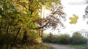 Złota, polska jesień... - zdjęcie 10