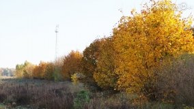 Złota, polska jesień... - zdjęcie 8