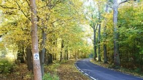 Złota, polska jesień... - zdjęcie 7