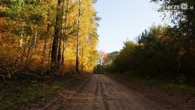 Złota, polska jesień... - zdjęcie 6