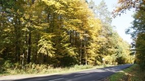 Złota, polska jesień... - zdjęcie 3