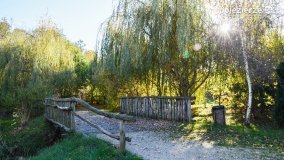 Muzeum Archeologiczne w Biskupinie w czasie pandemii - zdjęcie 15