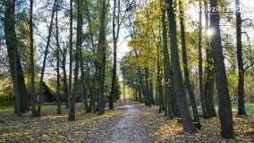 Muzeum Archeologiczne w Biskupinie w czasie pandemii - zdjęcie 14